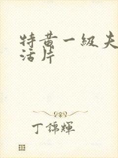 特黄一级夫妻生活片