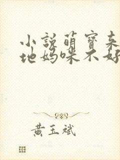 小说萌宝来袭爹地妈咪不好惹