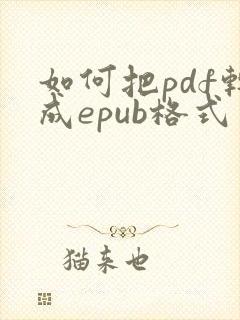 如何把pdf转成epub格式