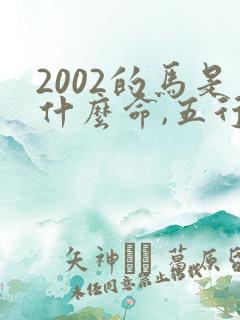 2002的马是什么命,五行属性