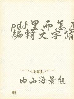 pdf里面怎么编辑文字修改