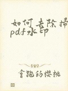 如何去除扫描王pdf水印