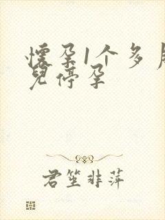 怀孕1个多月胎儿停孕