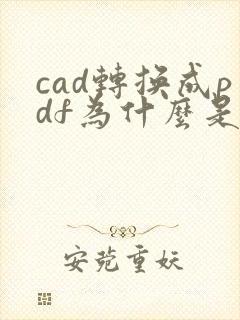 cad转换成pdf为什么是空白的