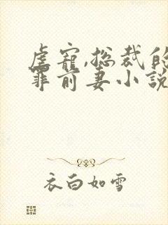 虐宠,总裁的替罪前妻小说