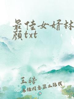 最佳女婿林羽江颜txt