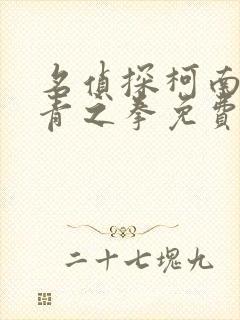 名侦探柯南之绀青之拳免费国语版