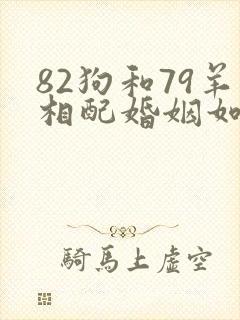82狗和79羊相配婚姻如何