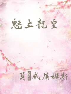 魅上龙皇