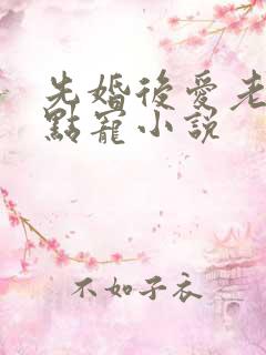 先婚后爱老公轻点宠小说