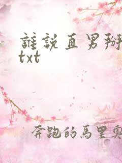 谁说直男掰不弯txt
