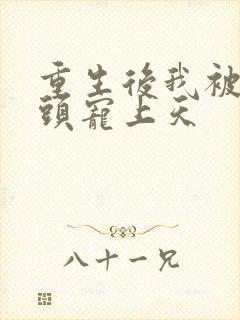 重生后我被死对头宠上天