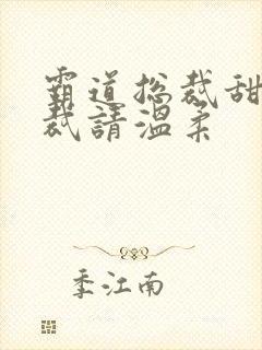 霸道总裁甜宠总裁请温柔