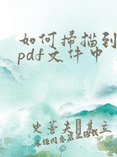 如何扫描到一个pdf文件中