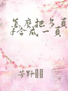 怎么把多页pdf合成一页