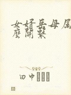 女婿岳母属于什么关系