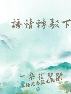 诱情转驳下载