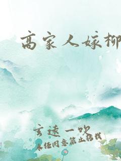 高家人嫁柳家