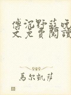 傅沉野苏晚棠全文免费阅读