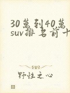 30万到40万suv排名前十位的车