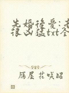 先婚后爱:老公很凶猛txt全文免费下载