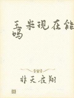 玉米现在能浇水吗