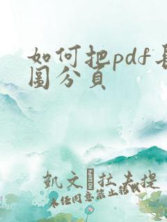 如何把pdf长图分页