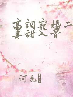 高调宠婚二婚娇妻甜入骨