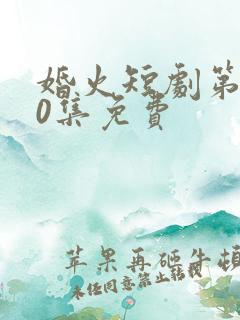 婚火短剧第100集免费