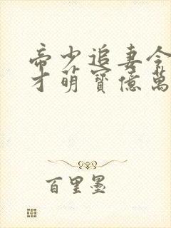 帝少追妻令,天才萌宝亿万妻