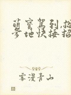 萌宝驾到,总裁爹地快接招