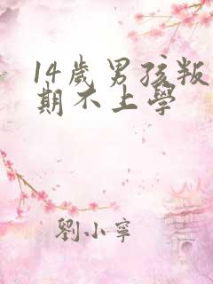 14岁男孩叛逆期不上学