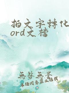 拍文字转化成word文档