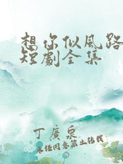 想你似风路过我短剧全集