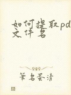 如何提取pdf文件名