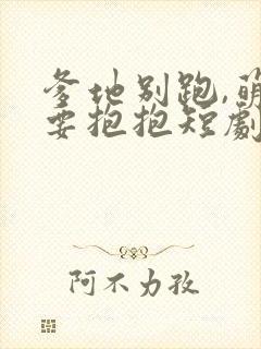 爹地别跑,萌宝要抱抱短剧