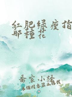 红肥绿瘦指的是哪种花