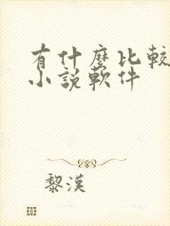 有什么比较好的小说软件