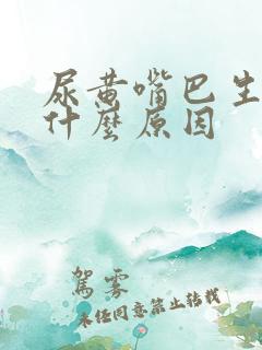 尿黄嘴巴生疮是什么原因