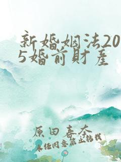 新婚姻法2025婚前财产