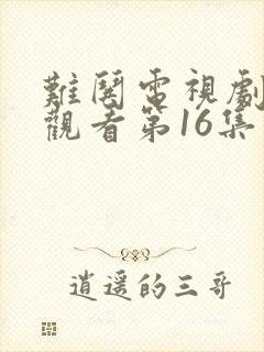难哄电视剧免费观看第16集