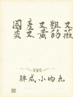 国产又粗又猛又爽又黄的薇视频