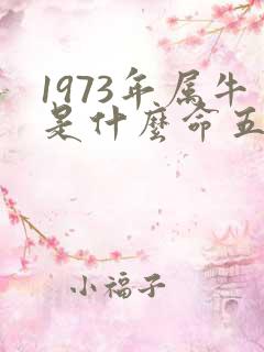 1973年属牛是什么命五行