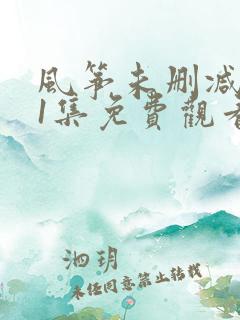 风筝未删减版51集免费观看