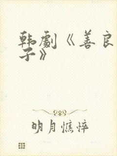 韩剧《善良的妻子》