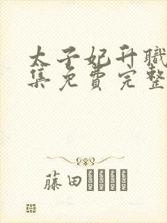 太子妃升职记全集免费完整