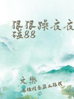狠狠躁夜夜躁爽碰88