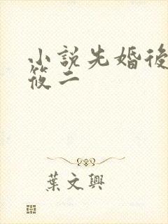 小说先婚后爱梦筱二