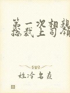第一次相亲就和总裁上司领证的小说