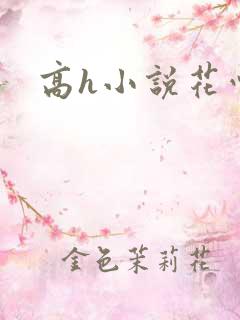 高h小说花心